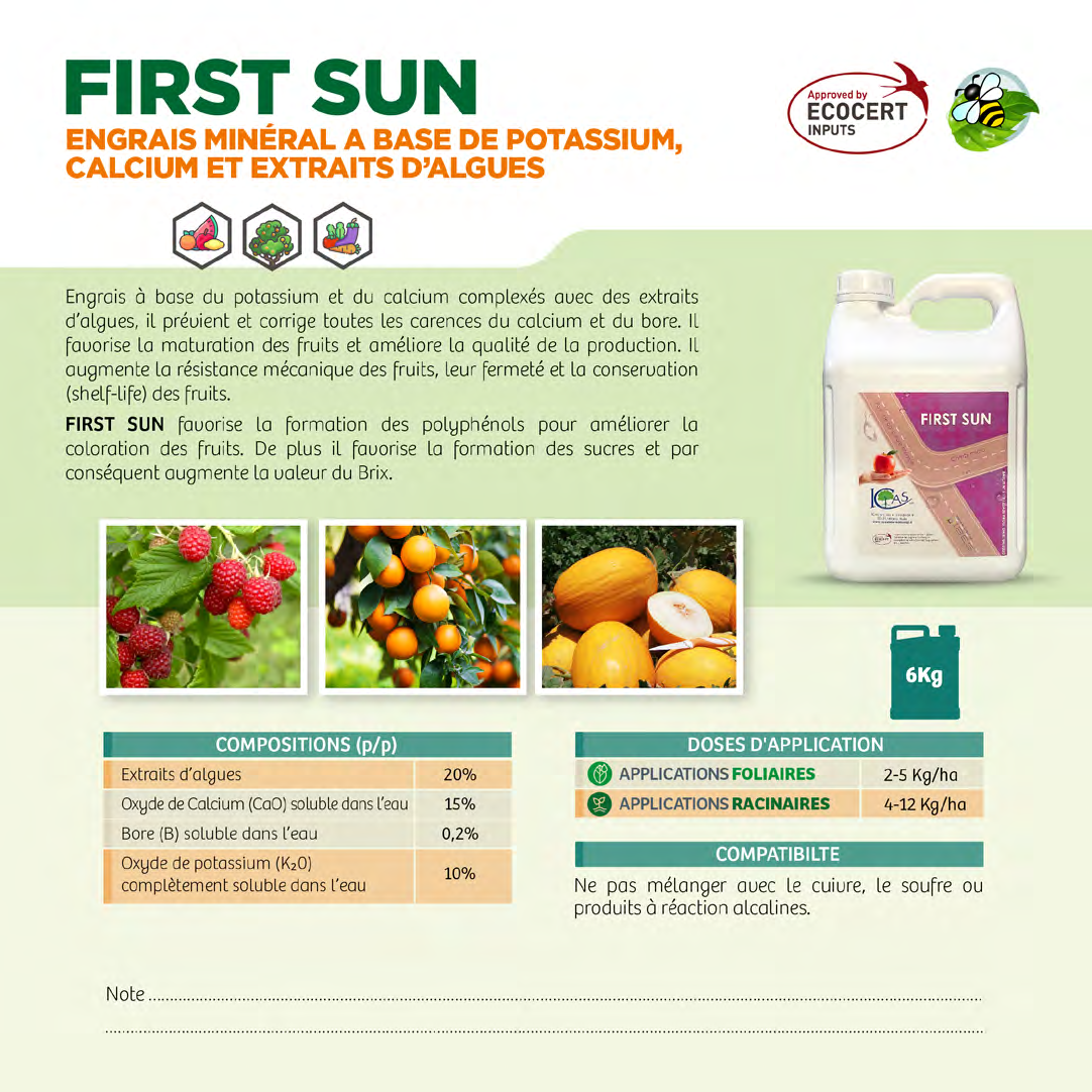 First Sun Production First Sun – Ibes