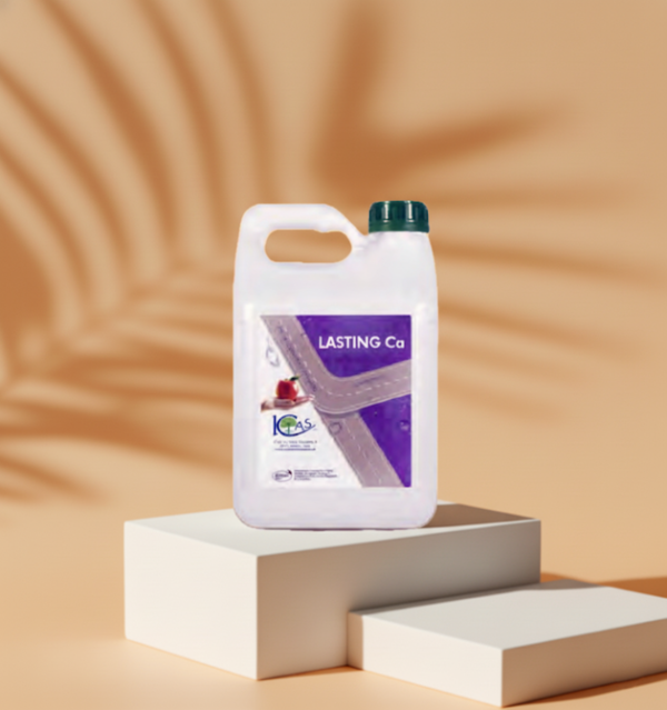 ibes-lasting-ca Lasting Ca