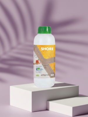 Shore