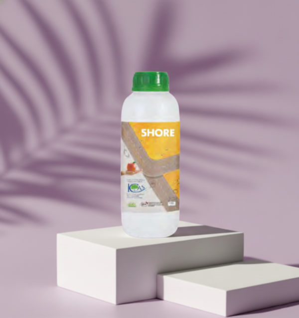 ibes-shore Shore
